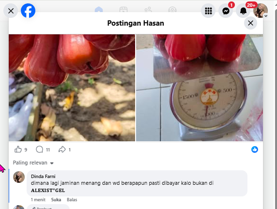 Screenshot 95