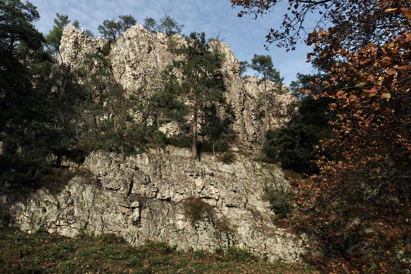 PA290892.jpg