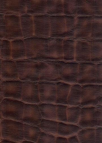 Large-74659-Brownie