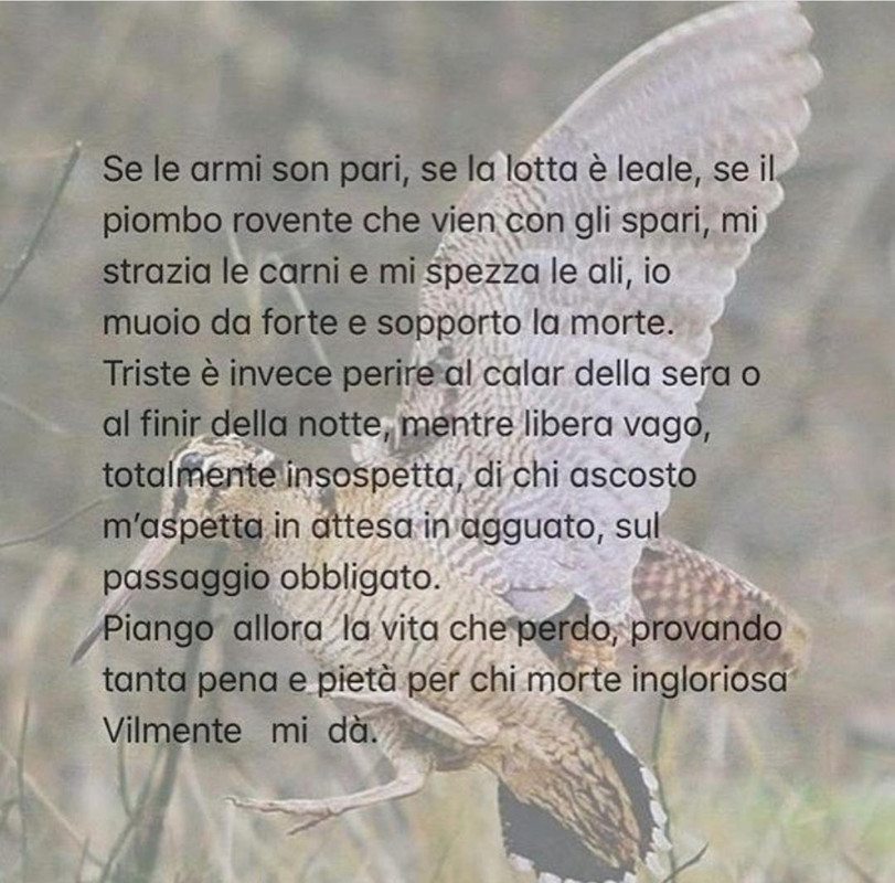 8E1EFAA1-B3D7-43A4-B57C-FB3A44B2B569