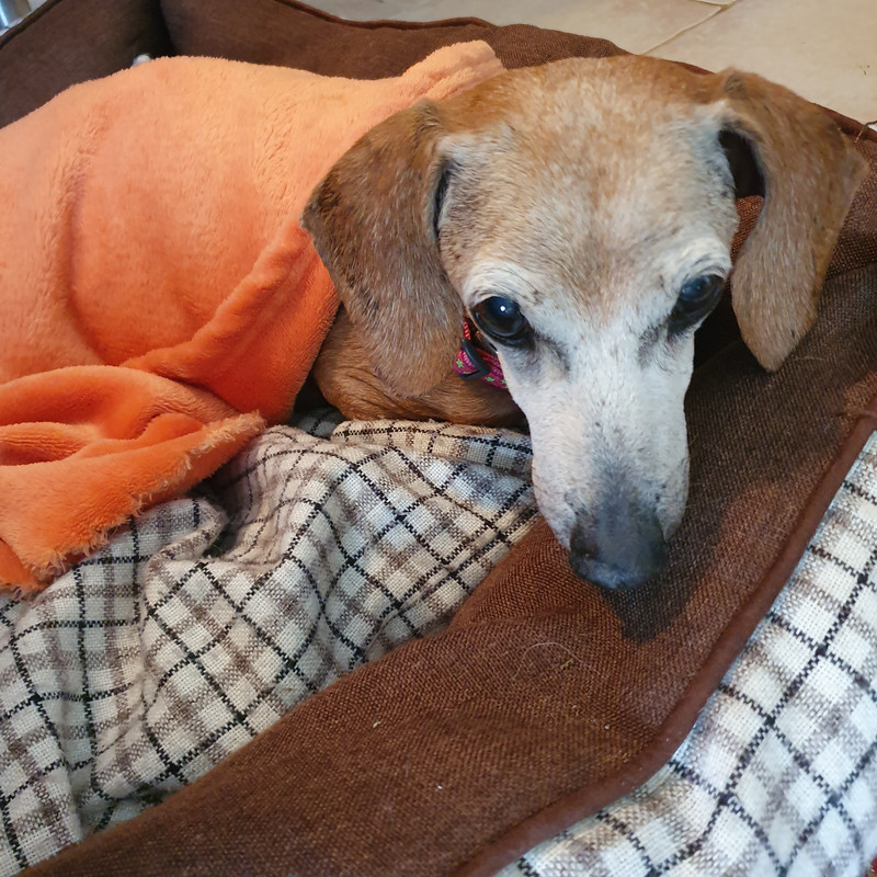 [Image: 20211030-164421.jpg]