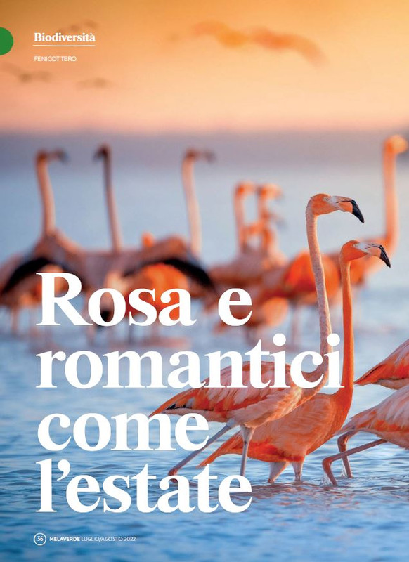 melaverde Lug 2022 (3)