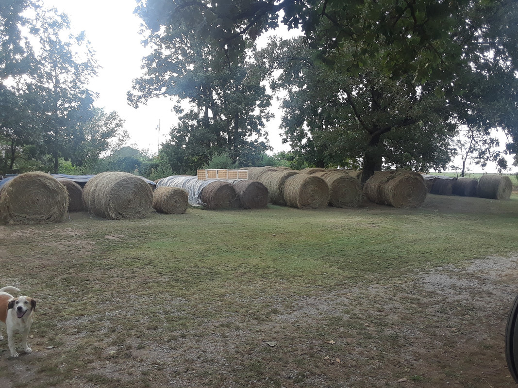hay 2018