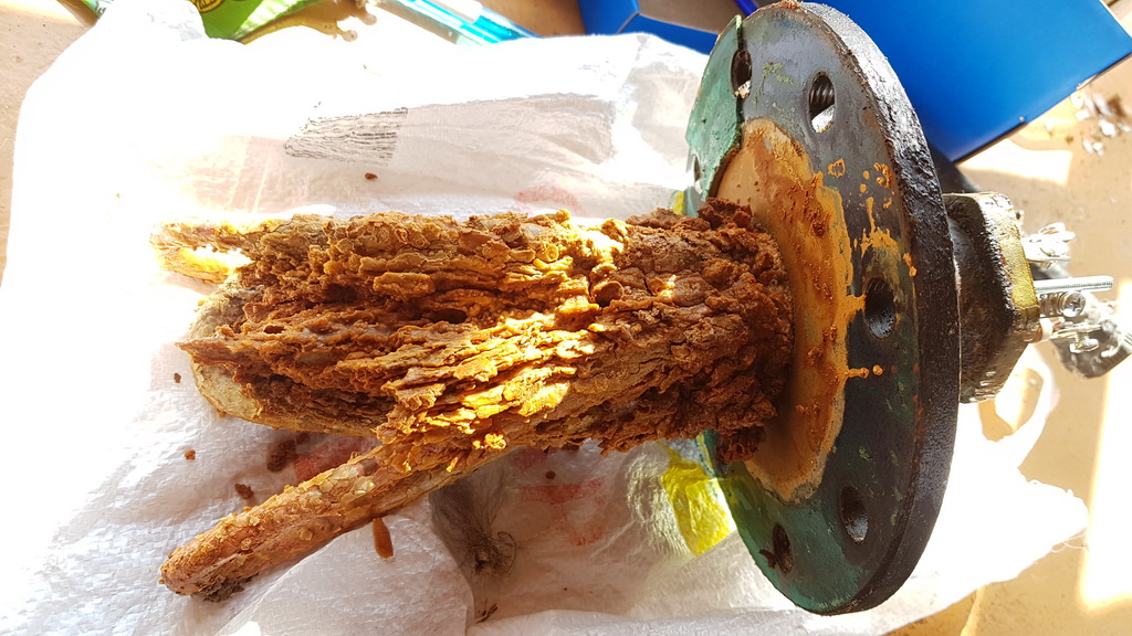 20190515_142005_resize