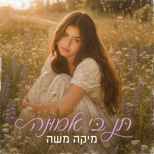 תמונה