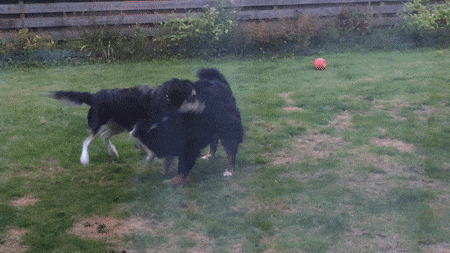 ezgif.com-optimize (3)