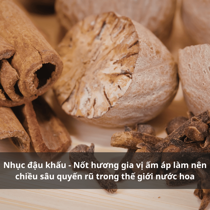Nuoc-hoa-huong-nhuc-dau-khau.png