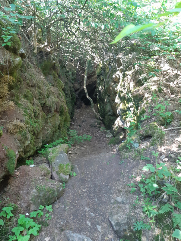 10.04 - 20200613_100932 (PiTT)