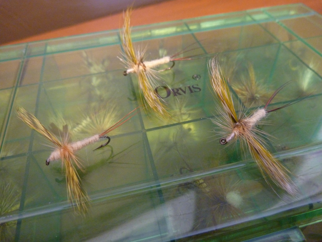 YELLOW-White Tail Brown Hackle ( Wulff Bomber)