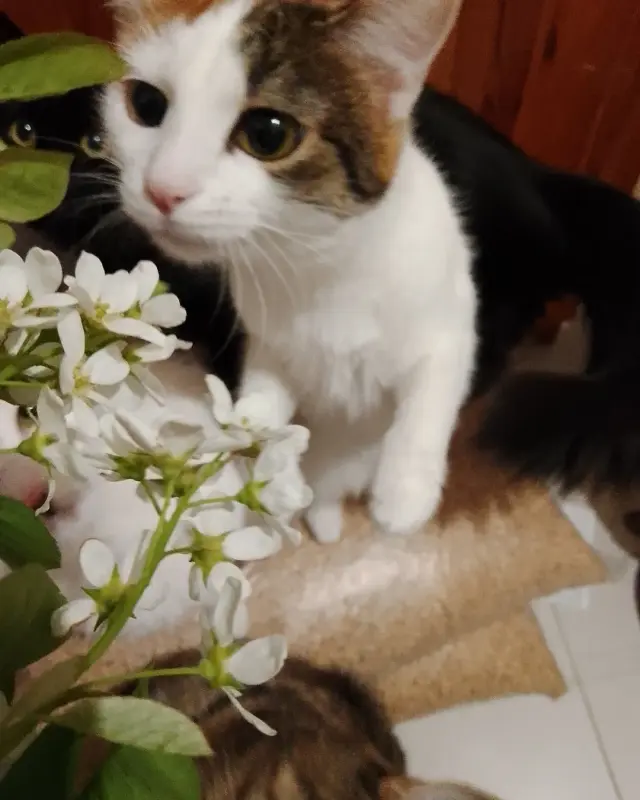 IMG_20220514_210924_526