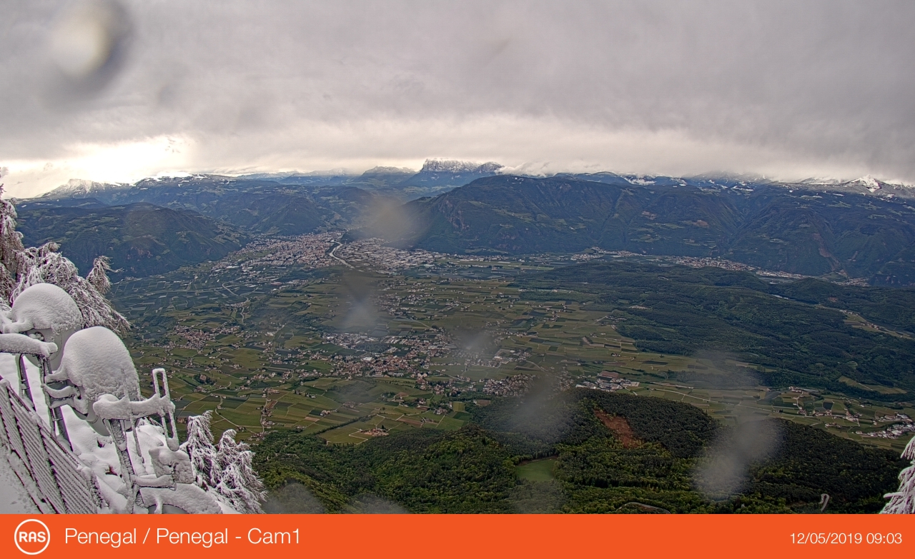 current (44)
