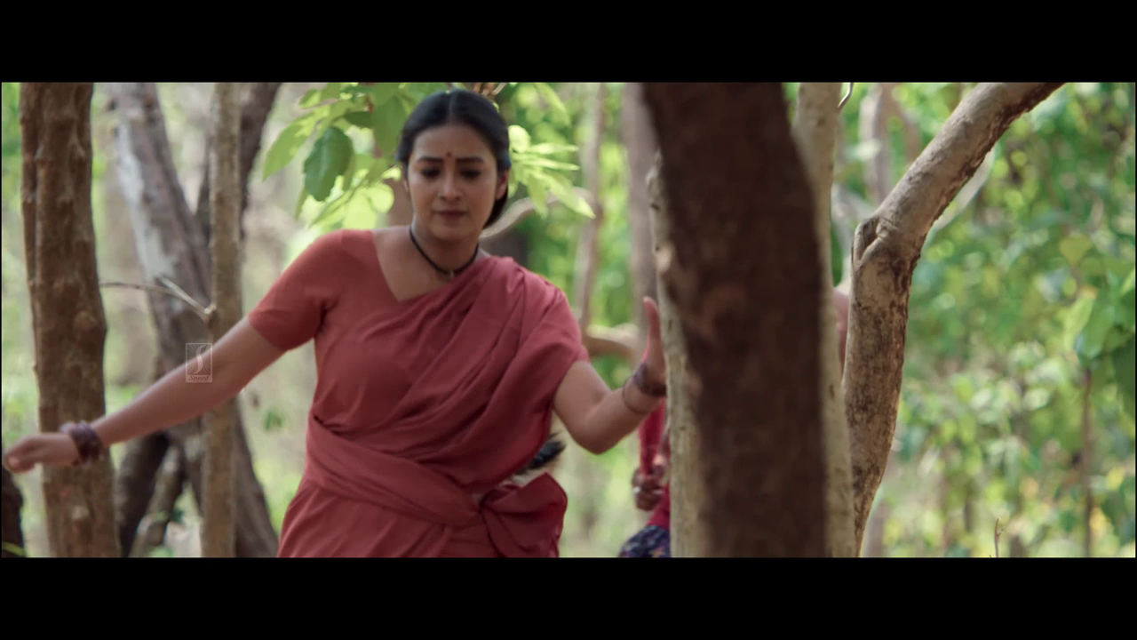 vlcsnap 2025 11 02 13h50m15s831