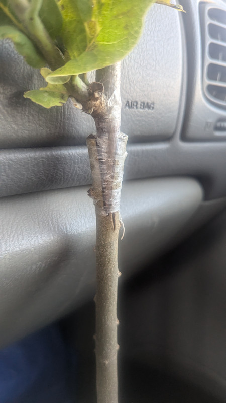 PXL_20240719_011942678