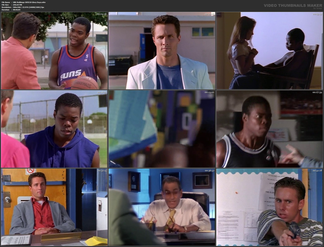 Silk Stalkings S05E10 Glory Days.mkv