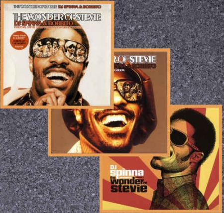 VA - DJ Spinna & Bobbito Presents: The Wonder of Stevie - Collection (2003-2016) FLAC