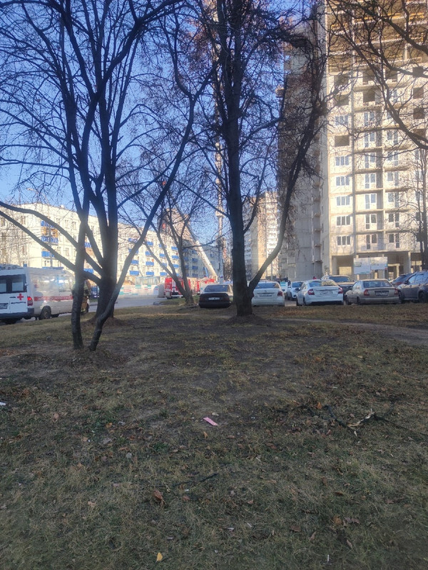 Веерная.jpg 2