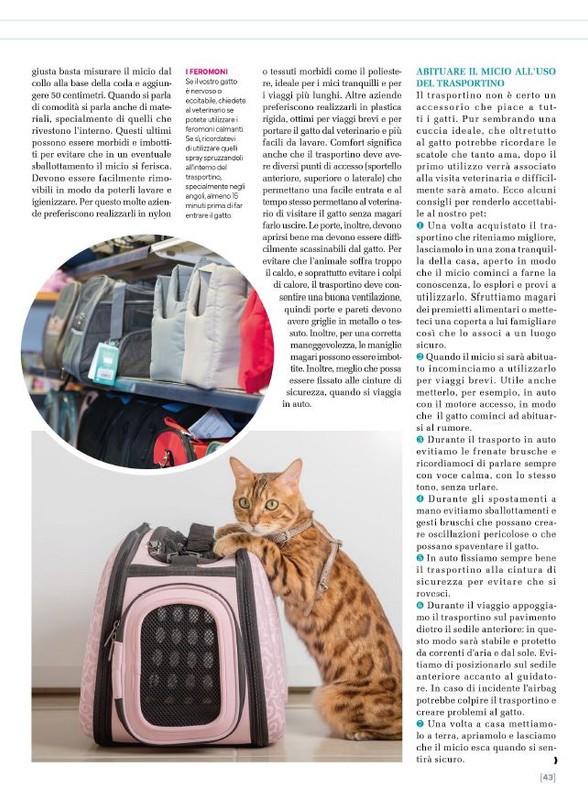 Ga Ma Ago-Set 2025 (4)