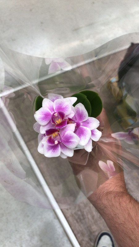 480A3783-CC54-4CC1-8DCE-7CF375BF8272