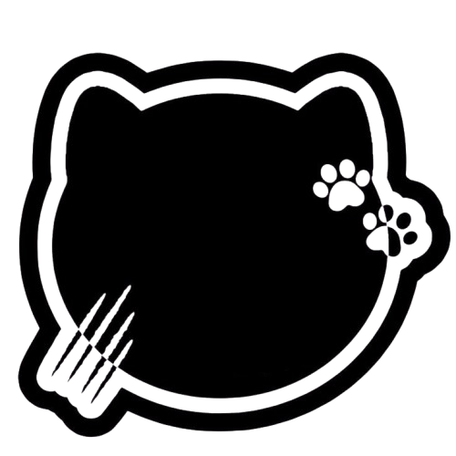 attachedteen on Pinterest