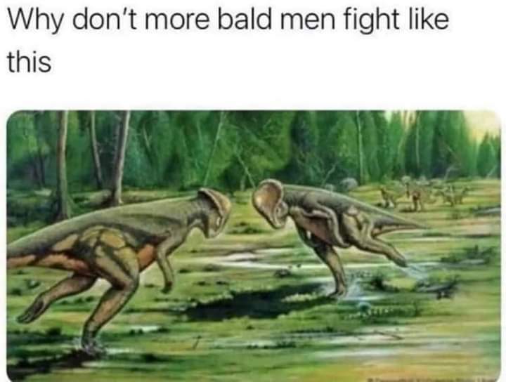 bald-men-fighting.jpg