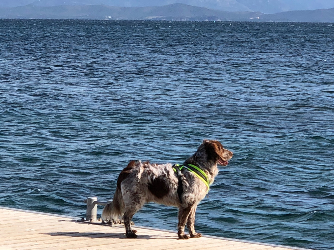 CCF9C317-AAB9-4788-966B-FC4C4566A03E