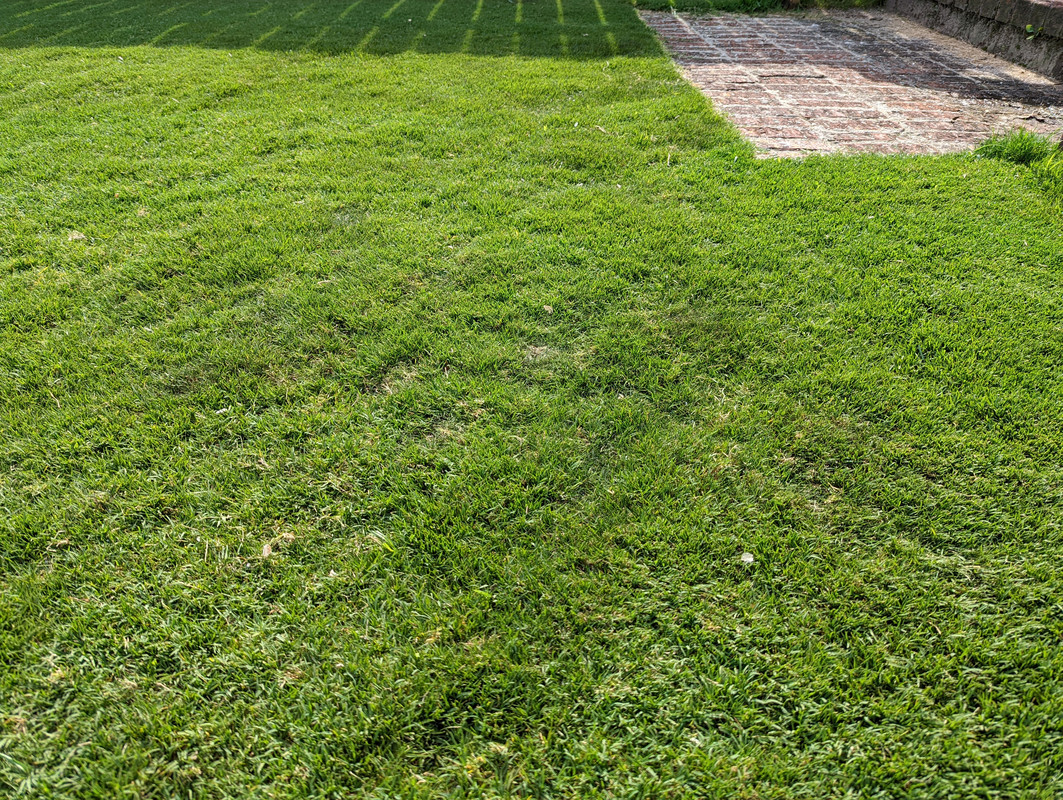 PXL_20220519_141537592