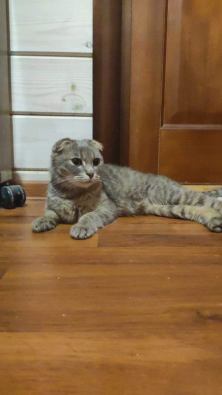 762005B5-7C56-495E-B116-87787A43D575