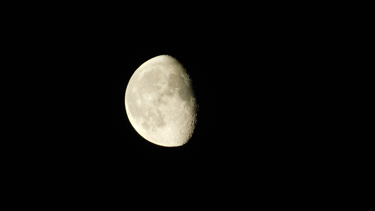 Август дачный кукольный 2023 038