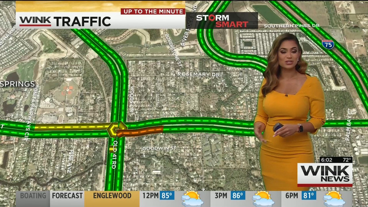 15 May - 11.00.00 - WINK News This Morning..ts_snapshot_03.45_[2020.05.15_23.34.22]