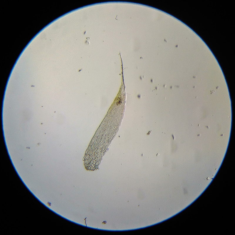 IMG 20250614 124345 HDR