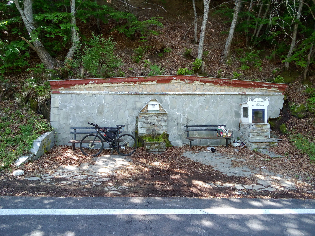 IMG-20210523-115215.jpg