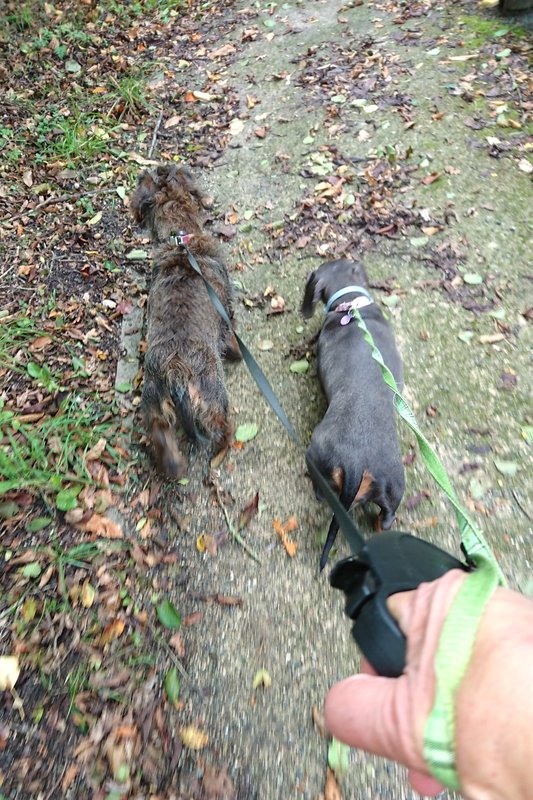 [Image: DSC-3123.jpg]