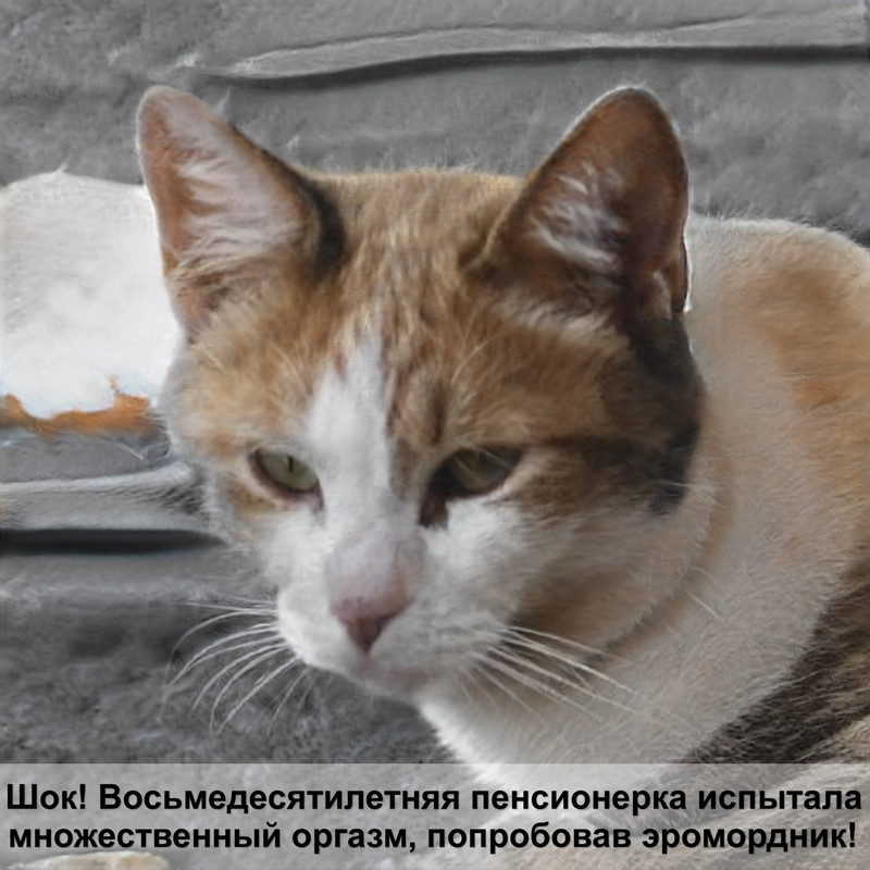 желтые глаза у кошки