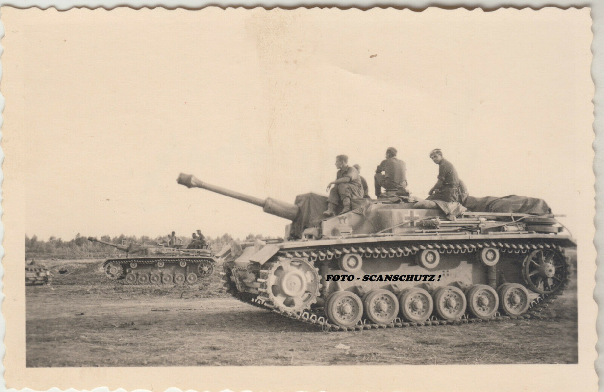 Orig.Foto Wehrmacht Sturmgeschütze in Bereitstellung Ostfront Rußland