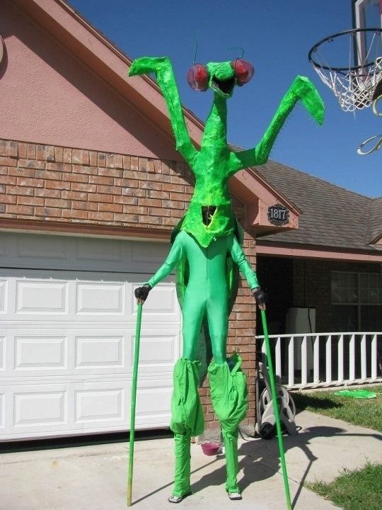 1351817453-0