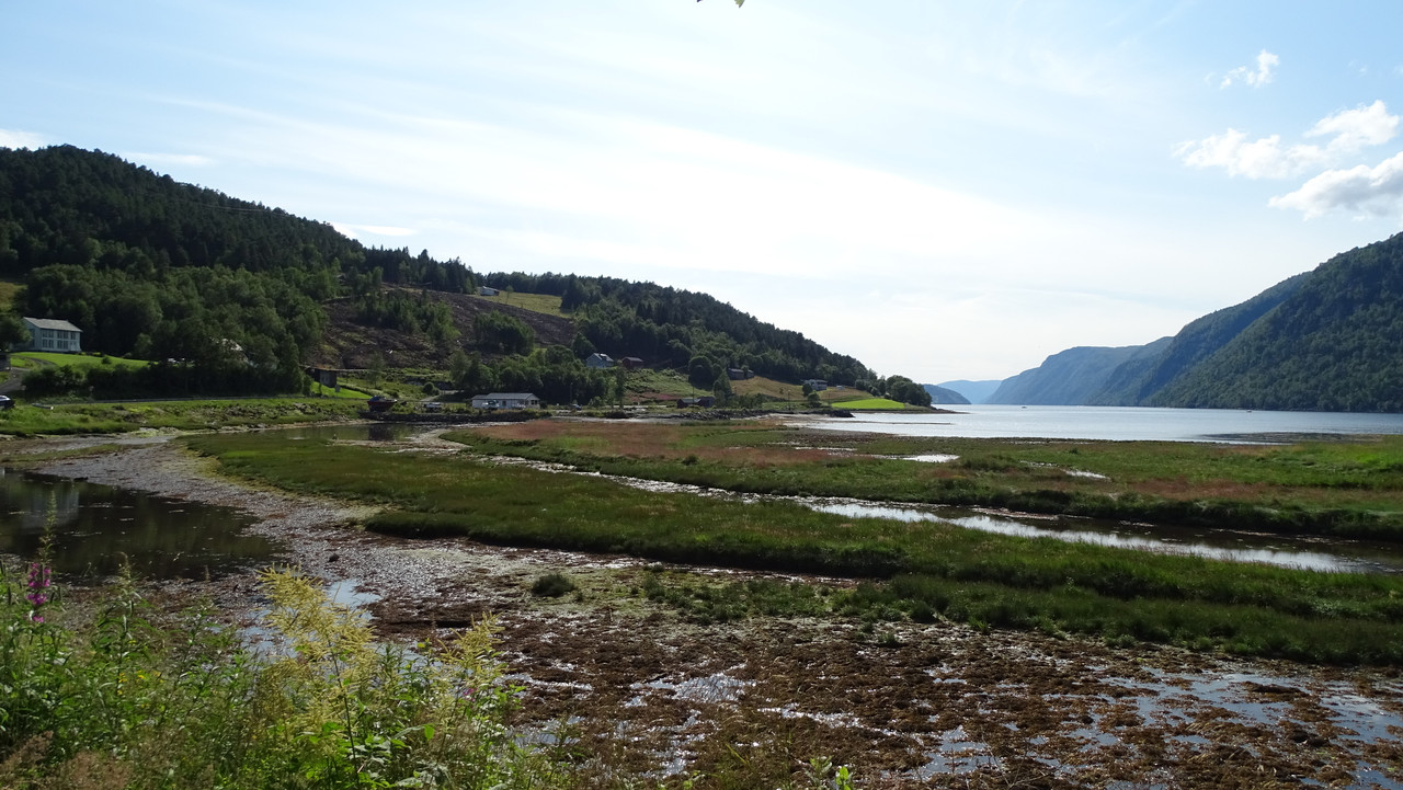 DSC01080.jpg