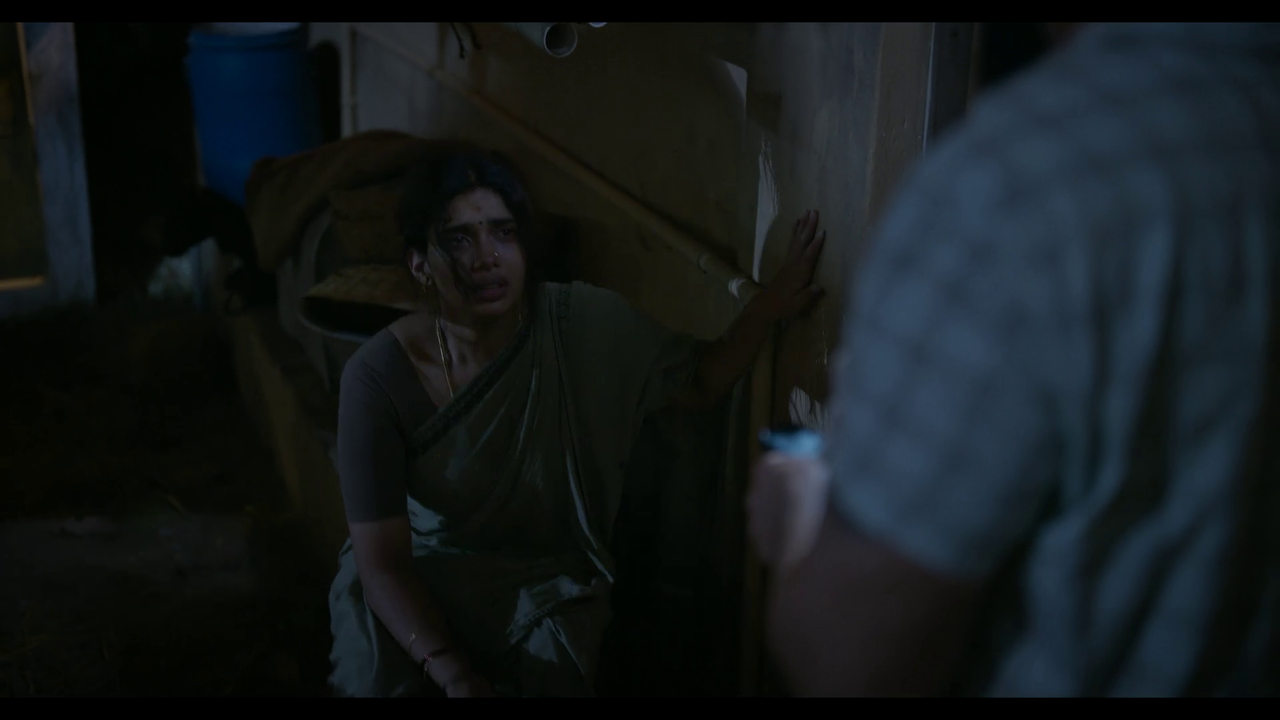 vlcsnap-2025-04-24-21h20m45s547