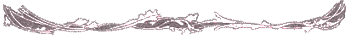 Divider. Do not use