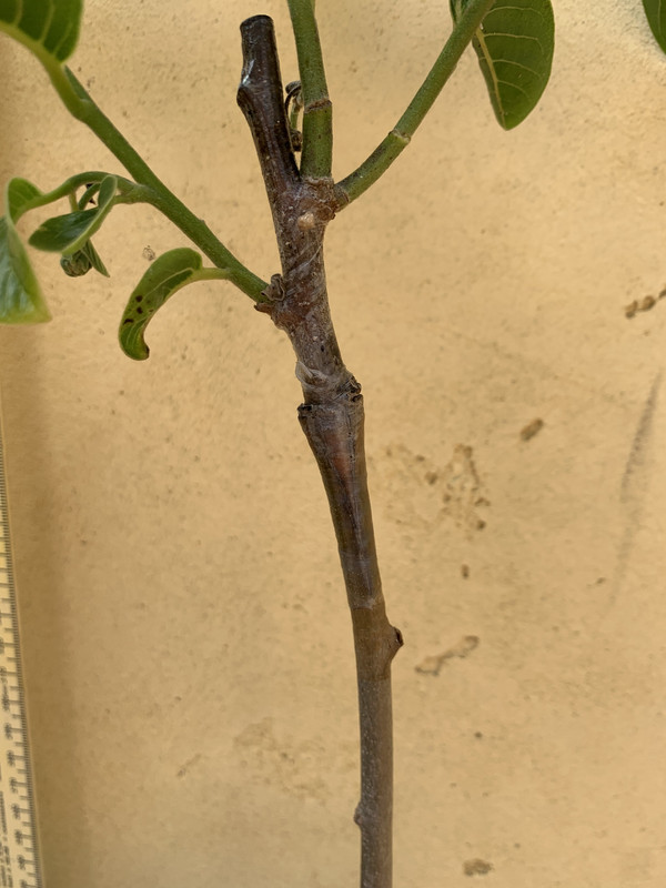 4B56D8E9-6BD7-4DB4-90CF-EB401CBFD936