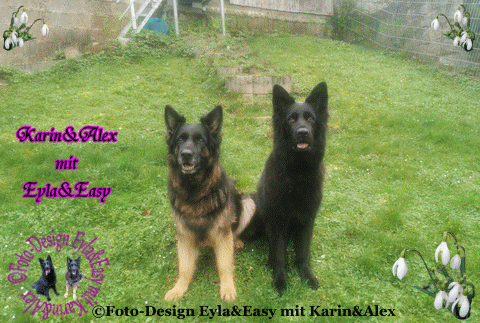 Willkommen-im-Februar-png-2025