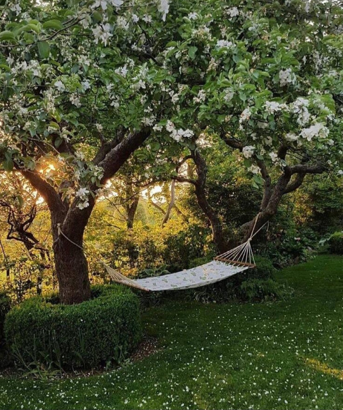 Screenshot_20240425_205857_Threads