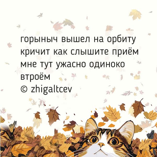 FB IMG 1760705510173