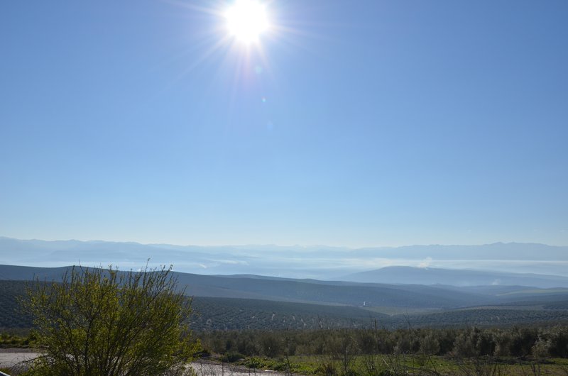 EMBALSE DE EL TRANCO DE BEAS-12-3-2016-JAEN - Paseando por España-1991/2016 (5)