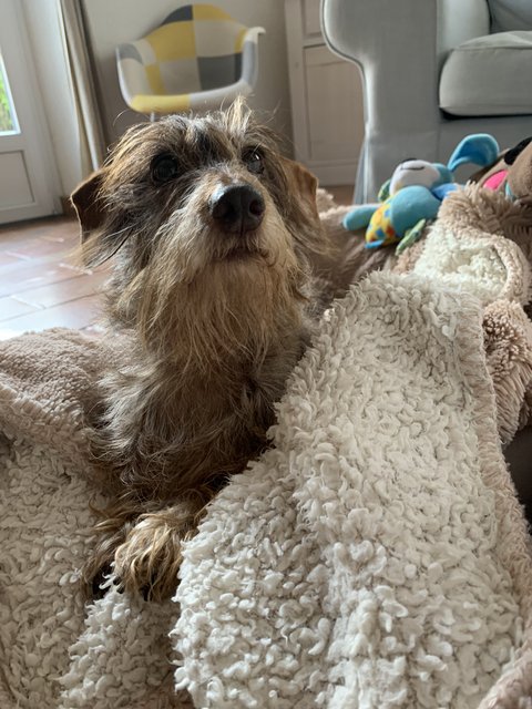 [Image: 72-D93-C6-D-9-E62-4421-A606-9-CA6-FA00-E05-B.jpg]