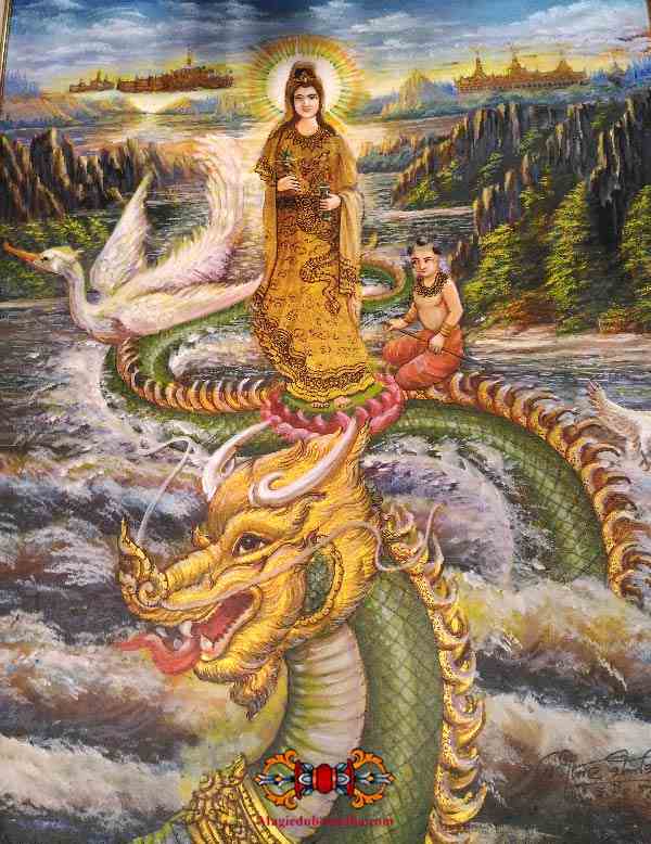 guan-yin-au-dragon