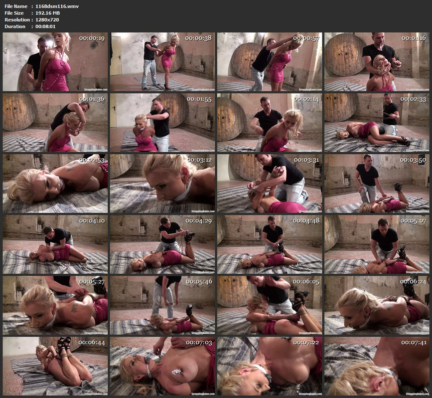 116Bdsm116.wmv