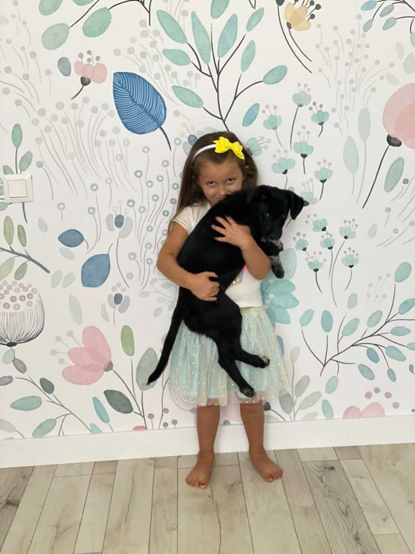 F6DB91CB-85D9-4212-AF44-52CEED258F1B