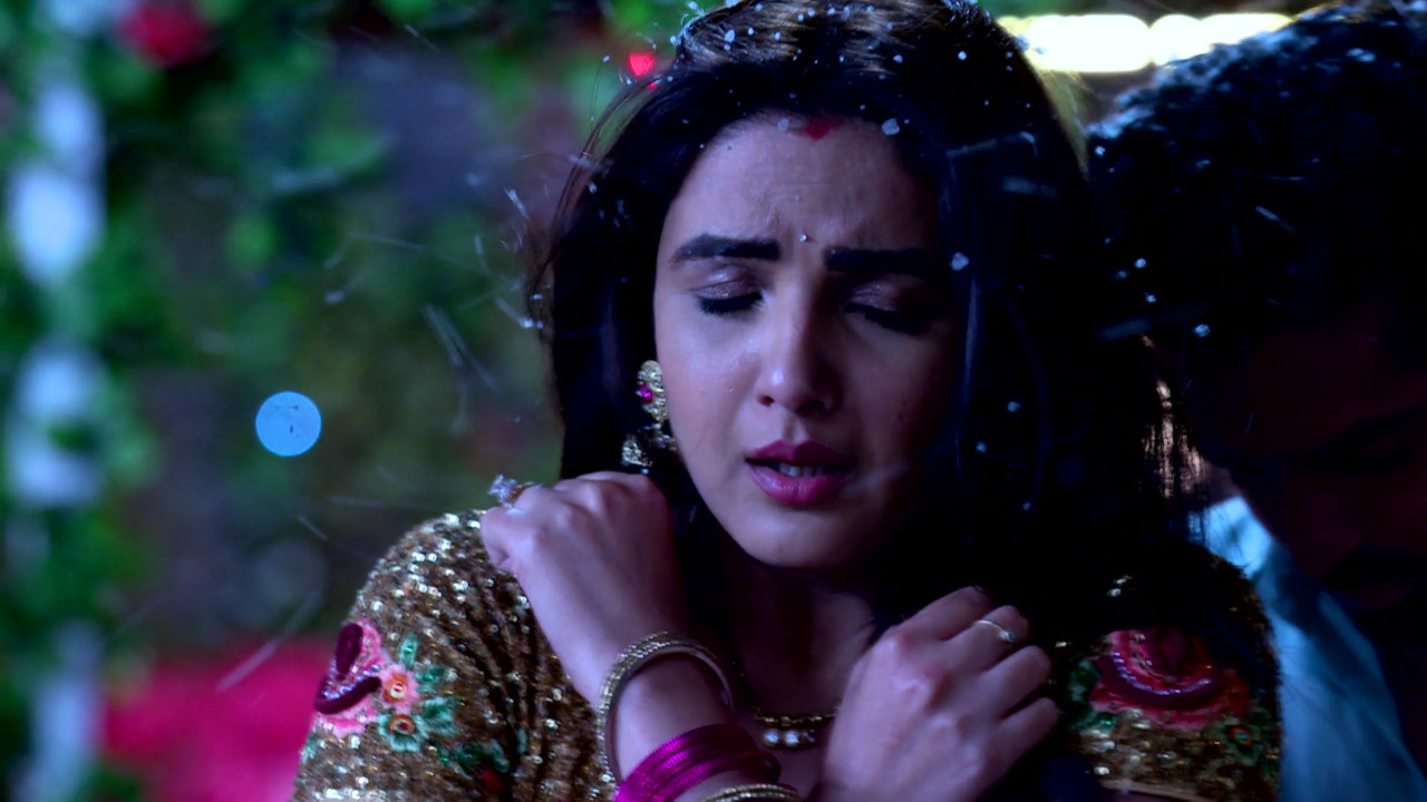 vlcsnap-2021-08-12-19h05m59s802