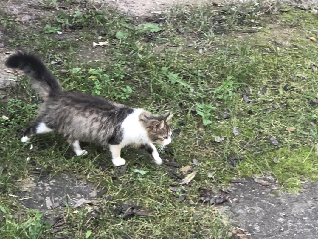 5D80B9B8-F88D-4B90-A300-DA24C0113F7C