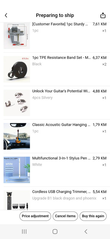 Screenshot_20241125-175305_Temu
